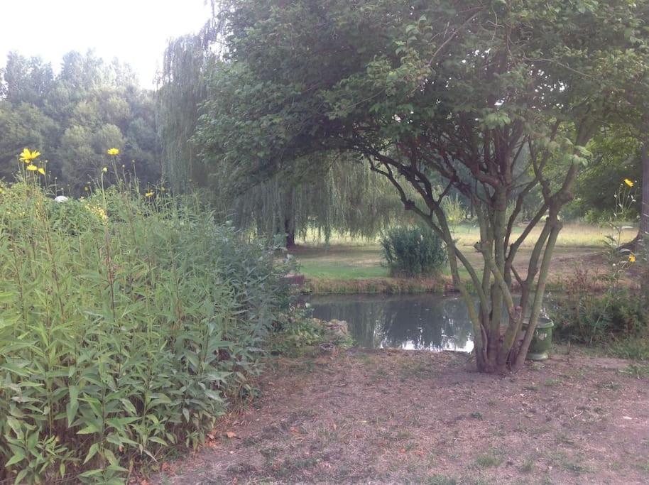 Le Foulon - Moulin De Charme - 1 Heure 30 De Paris Villa Saint-Hilaire-les-Andresis Luaran gambar