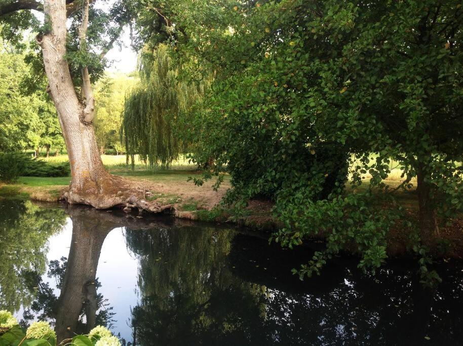 Le Foulon - Moulin De Charme - 1 Heure 30 De Paris Villa Saint-Hilaire-les-Andresis Luaran gambar