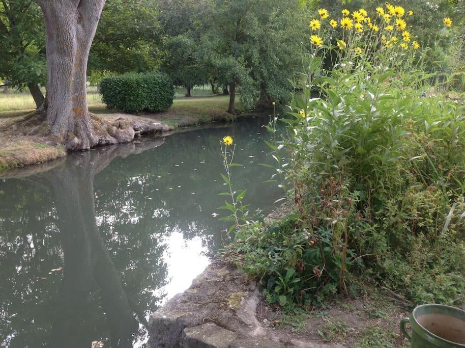 Le Foulon - Moulin De Charme - 1 Heure 30 De Paris Villa Saint-Hilaire-les-Andresis Luaran gambar
