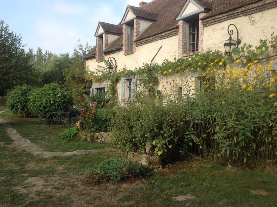 Le Foulon - Moulin De Charme - 1 Heure 30 De Paris Villa Saint-Hilaire-les-Andresis Luaran gambar